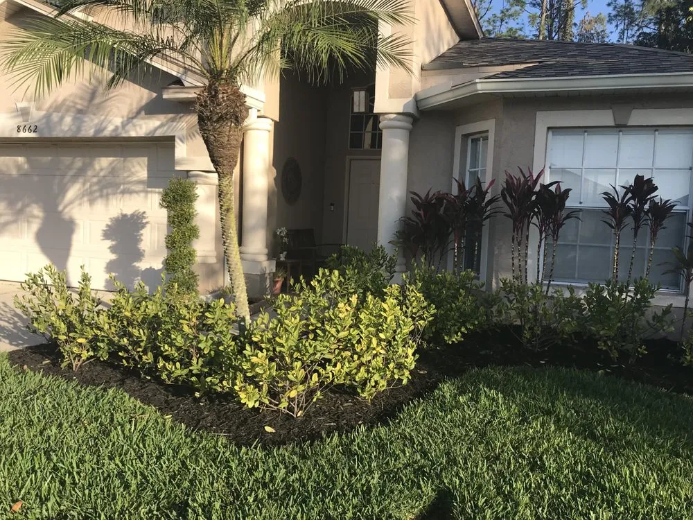 Trusted yard maintenance in Tampa, FL by Chism Landscape Company