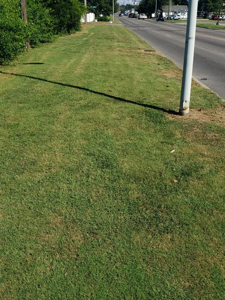 Affordable landscape installation experts serving Evansville, IN - CHJoseph Biz