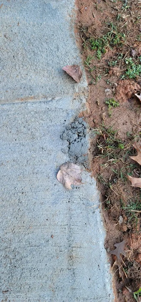 Reliable lawn care service experts serving Hampton, GA - Chloes Landscaping