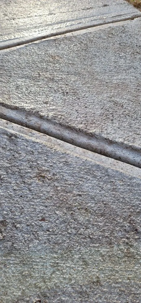 Affordable yard cleanup service for year-round maintenance across Hampton, GA - Chloes Landscaping