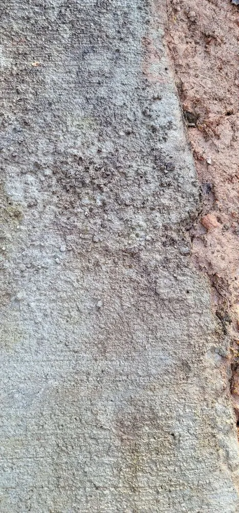 Top-rated landscape installation for beautiful yards across Hampton, GA - Chloes Landscaping