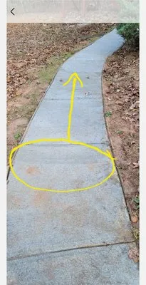 Chloes Landscaping Logo