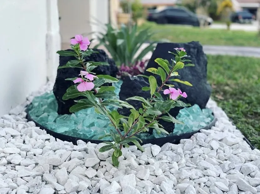 Professional yard maintenance in Fort Lauderdale, FL - Chlora