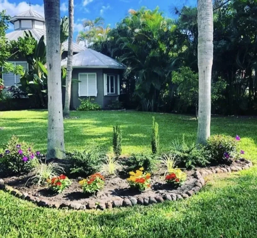 Custom landscape installation in Fort Lauderdale, FL by Chlora