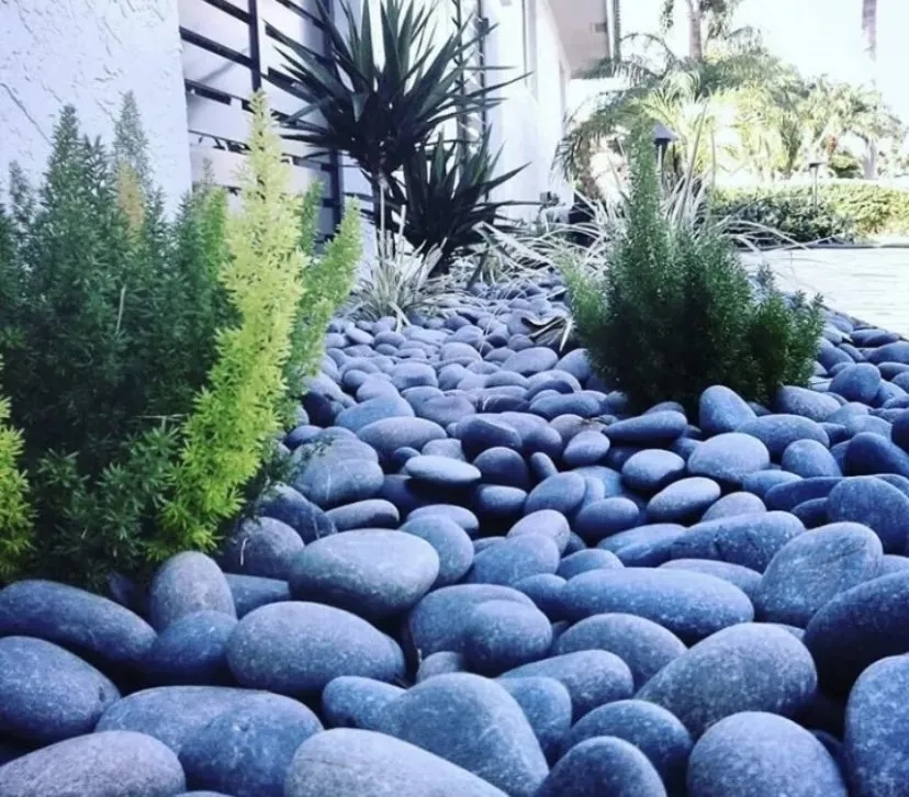 Reliable garden landscaping in Fort Lauderdale, FL by Chlora
