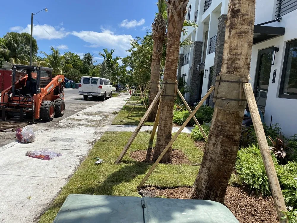 Expert garden landscaping in Fort Lauderdale, FL by Chlora