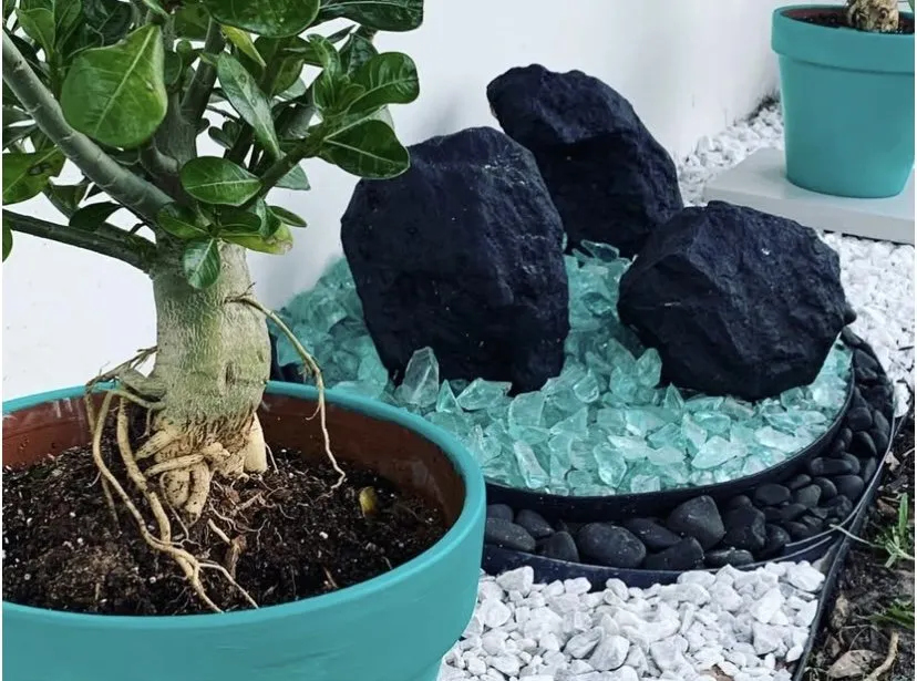 Custom lawn mowing service in Fort Lauderdale, FL by Chlora