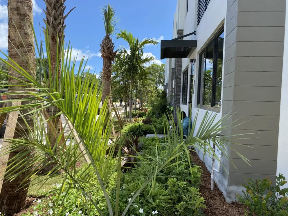 Custom lawn care service in Fort Lauderdale, FL by Chlora