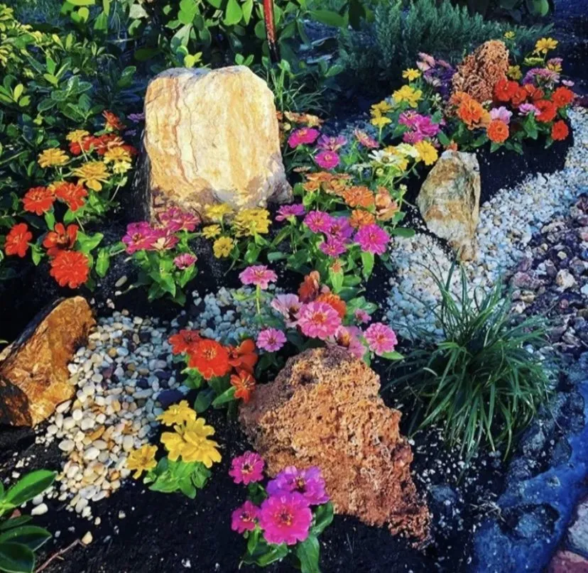 Professional lawn care service in Fort Lauderdale, FL by Chlora