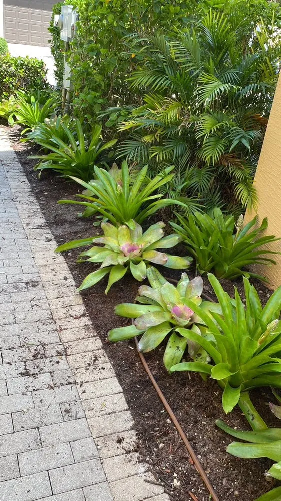 Trusted residential landscaping for outdoor upgrades in Fort Lauderdale, FL by Chlora