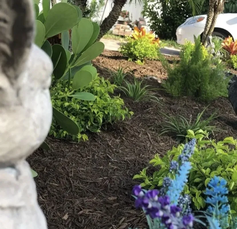 Trusted landscaping services in Fort Lauderdale, FL by Chlora