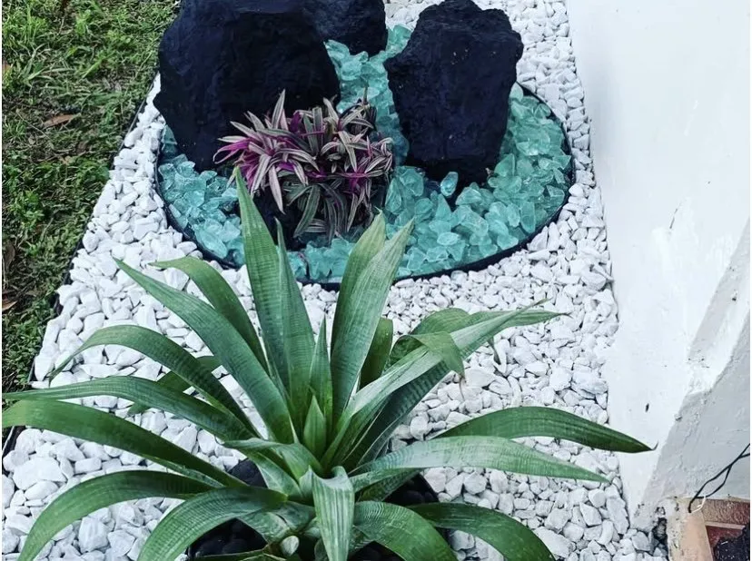 Trusted yard maintenance in Fort Lauderdale, FL by Chlora