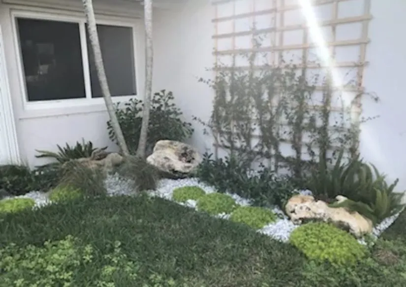 Custom lawn care service with custom design in Fort Lauderdale, FL by Chlora