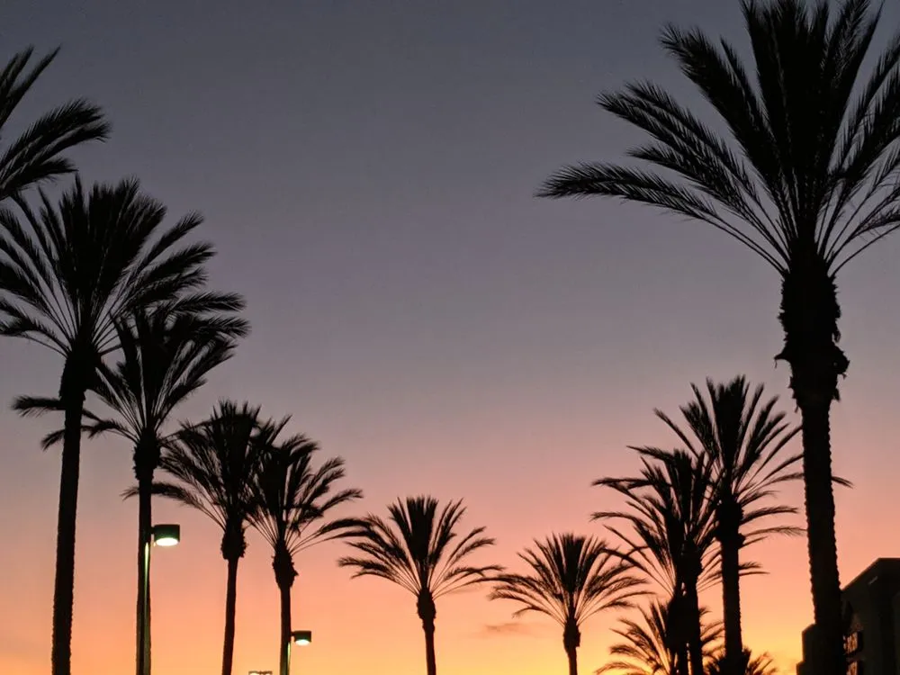 Affordable outdoor landscaping near you across Orange, CA - CHLOROPLAST LANDSCAPE