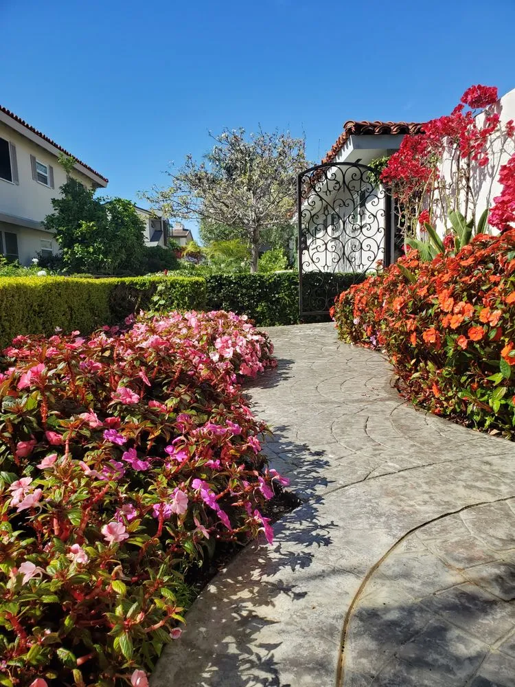 Professional landscape installation for residential properties across Orange, CA - CHLOROPLAST LANDSCAPE