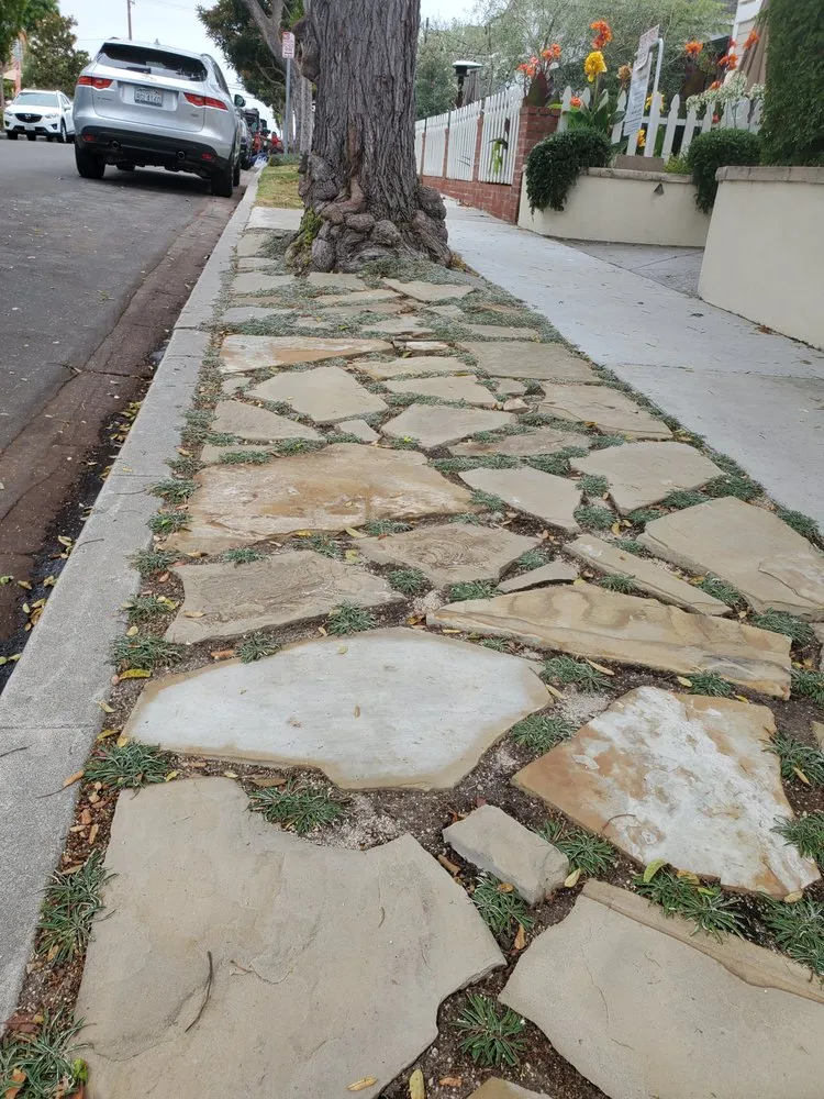 Top-rated lawn care service in Orange, CA by CHLOROPLAST LANDSCAPE