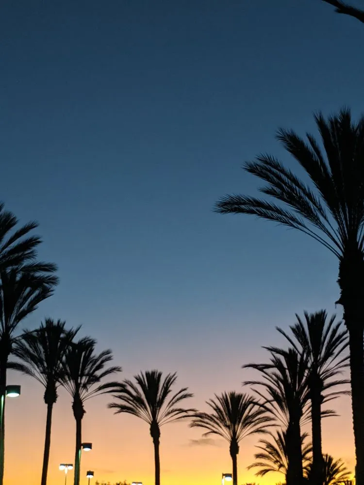 Local outdoor landscaping in Orange, CA by CHLOROPLAST LANDSCAPE
