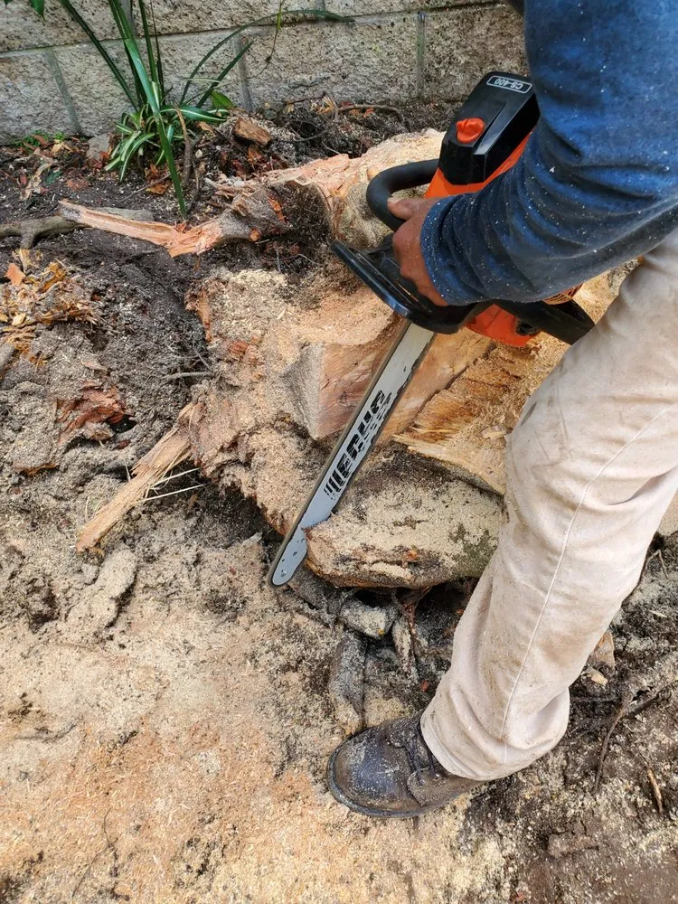 Top-rated residential landscaping for residential properties in Orange, CA by CHLOROPLAST LANDSCAPE