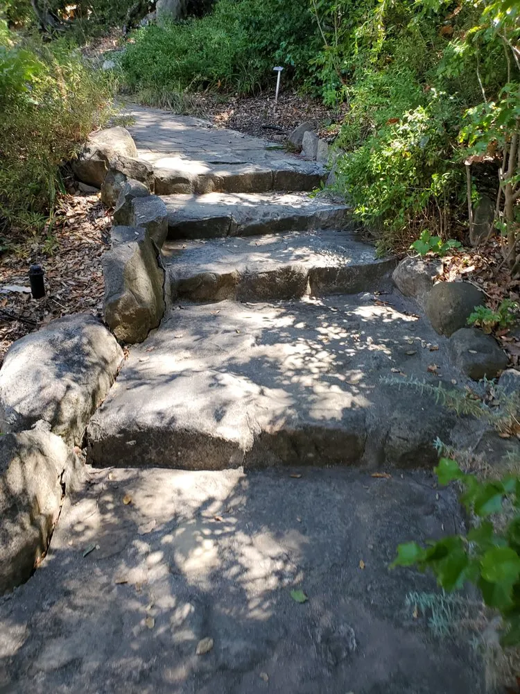 Custom yard cleanup service for homes across Orange, CA - CHLOROPLAST LANDSCAPE