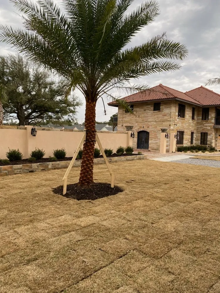 Trusted landscaping services in Gulfport, MS - Chnaro Landscaping