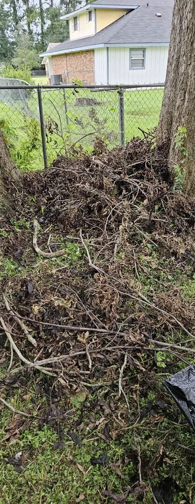 Reliable landscaping services experts serving Lafayette, LA - Choate Brothers Handyman Service