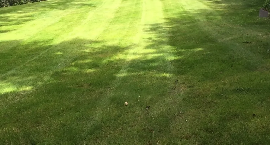 Custom landscape installation for residential properties in Mount Vernon, WA by Choice Grounds Care