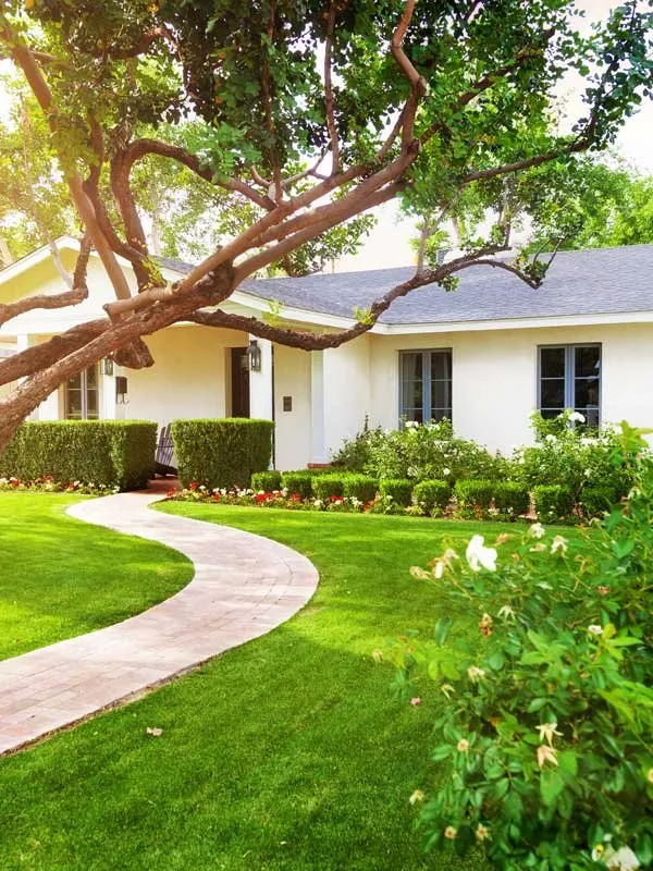 Trusted yard maintenance in Houston, TX - Choice Home + Commercial Services