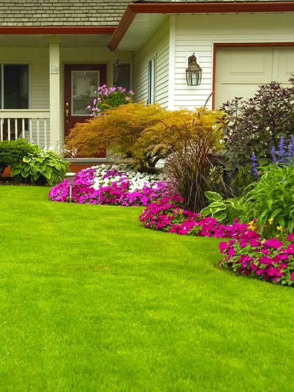 Affordable landscape design for year-round maintenance across Houston, TX - Choice Home + Commercial Services