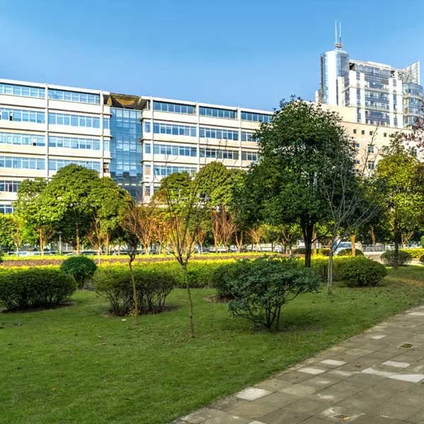 Expert residential landscaping with custom design across Houston, TX - Choice Home + Commercial Services