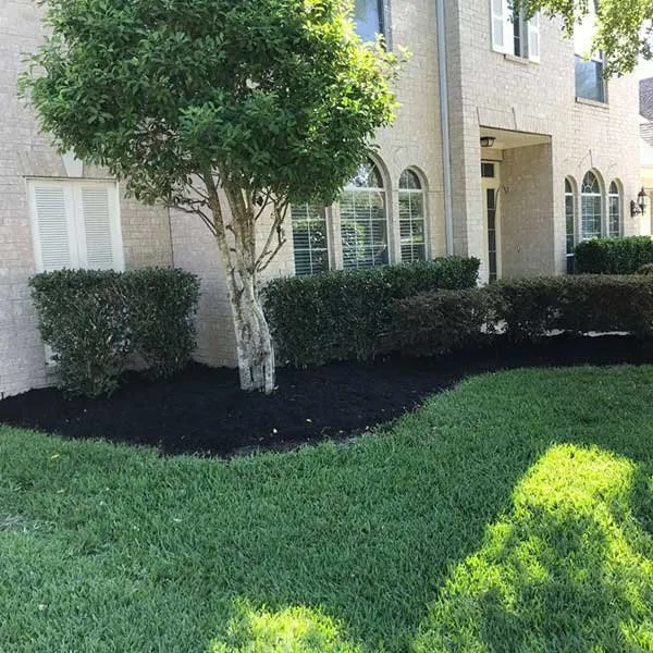 Expert landscape design for residential properties across Houston, TX - Choice Home + Commercial Services