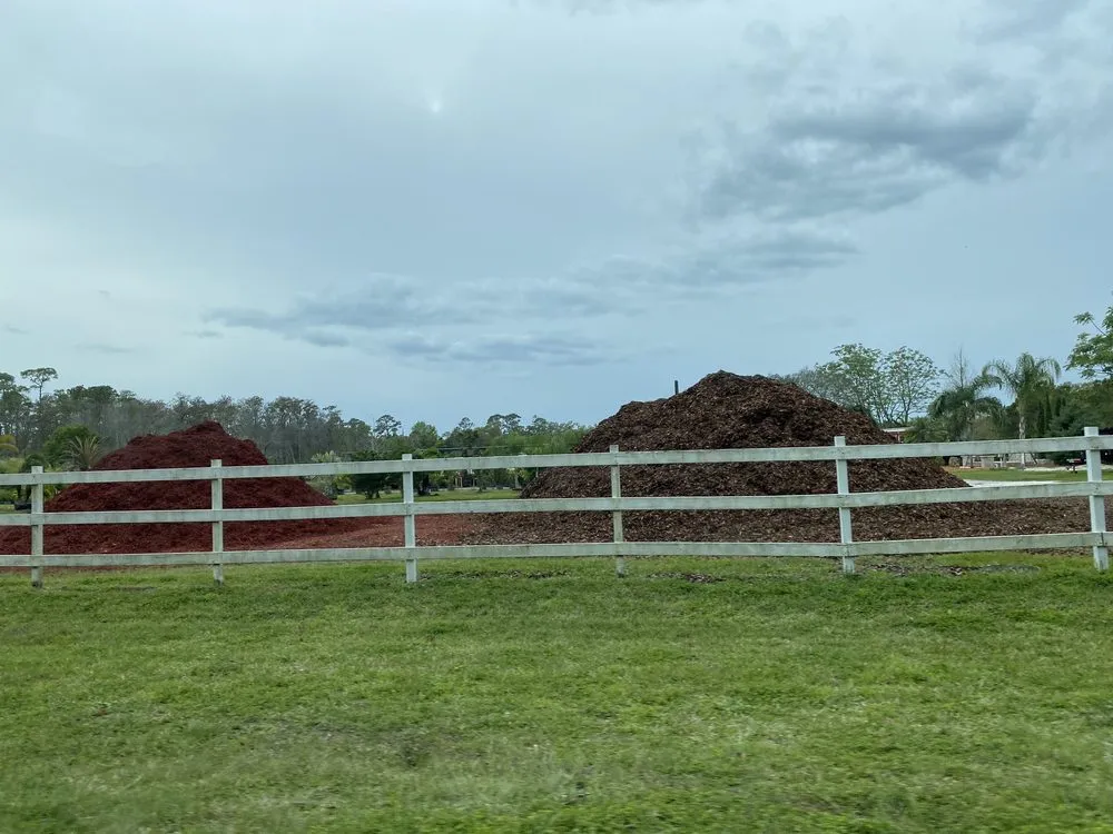 Custom yard cleanup service in Ormond Beach, FL - Choice Landscapes