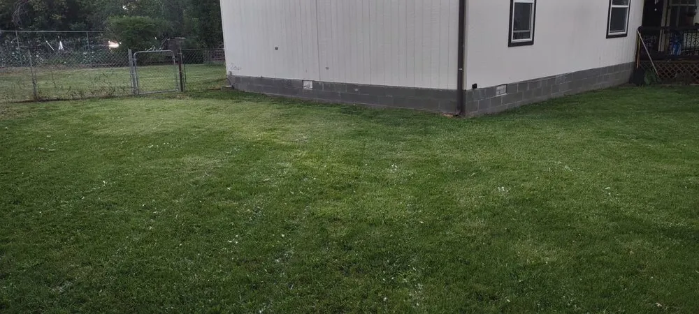 Top-rated landscape installation for beautiful yards across Farmington, NM - Choice Lawn and Garden