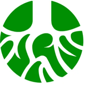 Reliable outdoor landscaping in Ocala, FL - Choice Maintenance