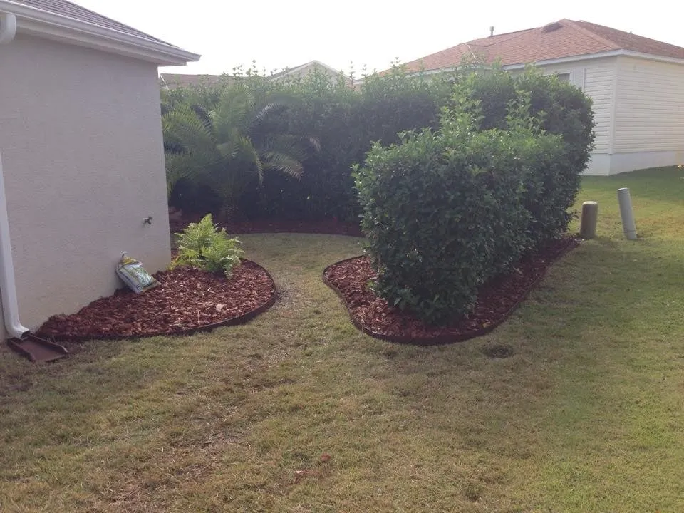 Professional yard cleanup service near you in Ocala, FL by Choice Maintenance