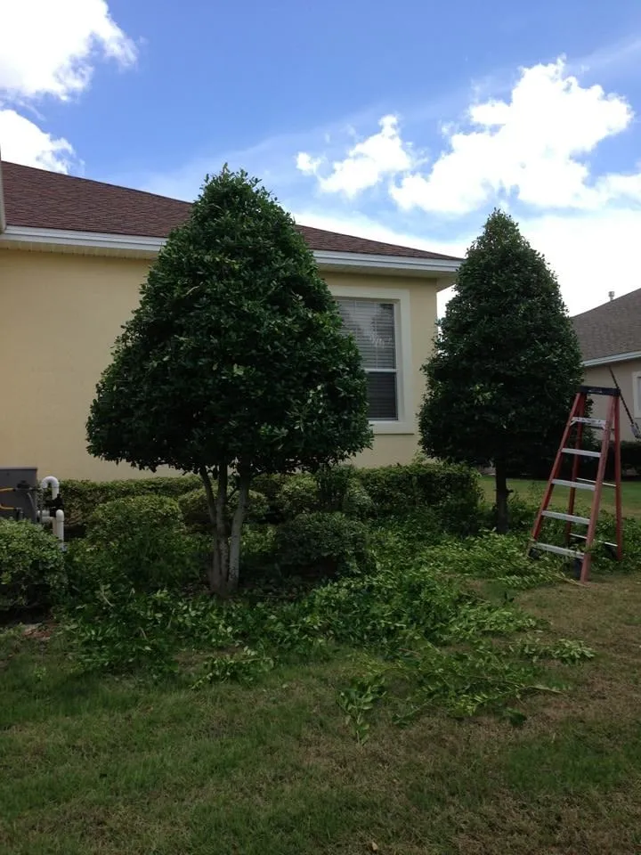 Top-rated residential landscaping in Ocala, FL by Choice Maintenance