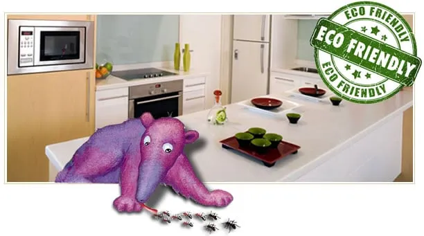 Reliable lawn care service near you in Fort Pierce, FL by Choice Pest Management