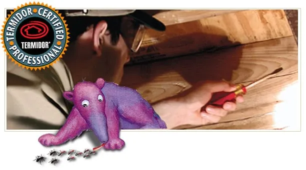 Affordable landscaping services with custom design across Fort Pierce, FL - Choice Pest Management