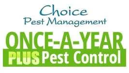 Expert yard cleanup service for outdoor upgrades in Fort Pierce, FL by Choice Pest Management
