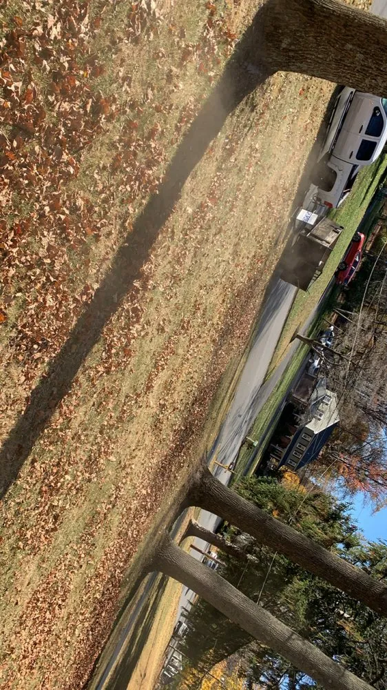 Reliable yard cleanup service in West Chester, PA by Cholula Landscaping