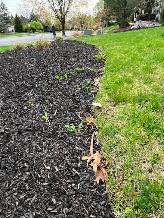 Trusted garden landscaping in Bethlehem, PA by Chomitzky Lawn Care