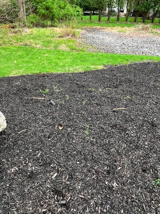 Trusted lawn care service for year-round maintenance across Bethlehem, PA - Chomitzky Lawn Care