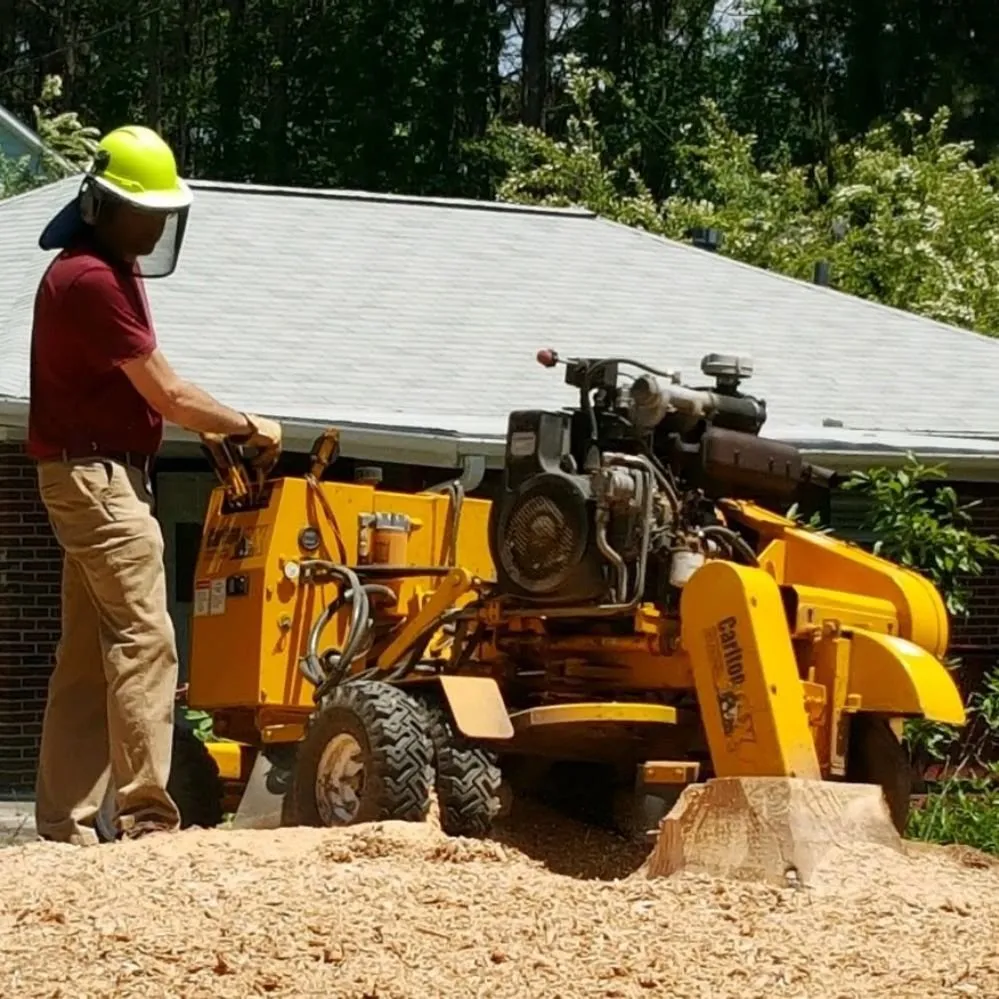 Affordable lawn care service experts serving Cumming, GA - Chompers Stump Removal