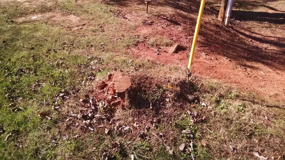 Local lawn care service in Cumming, GA by Chompers Stump Removal