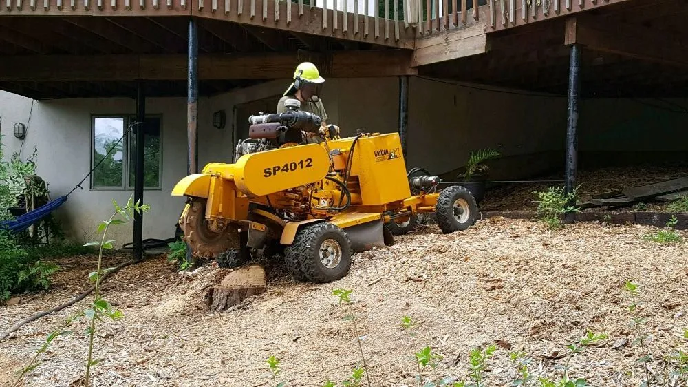 Affordable outdoor landscaping in Cumming, GA by Chompers Stump Removal