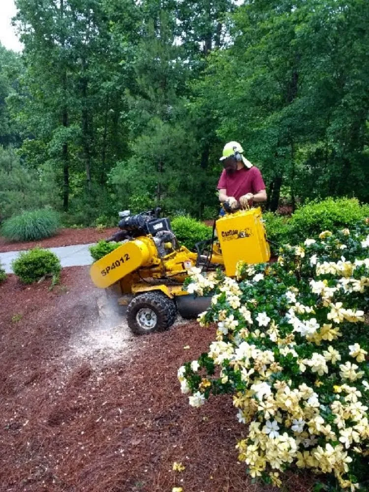 Professional lawn mowing service for outdoor upgrades across Cumming, GA - Chompers Stump Removal