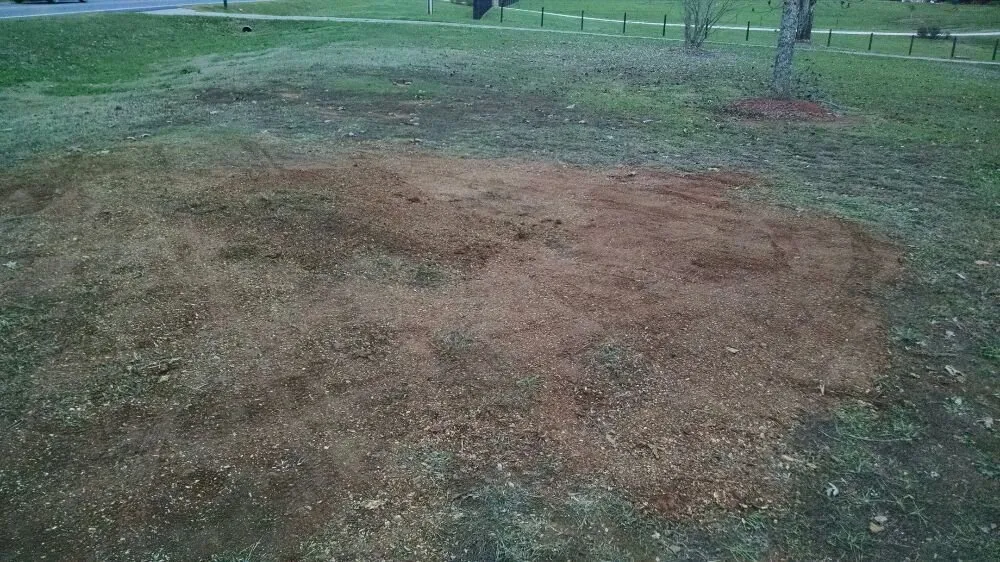 Expert landscaping services for outdoor upgrades across Cumming, GA - Chompers Stump Removal