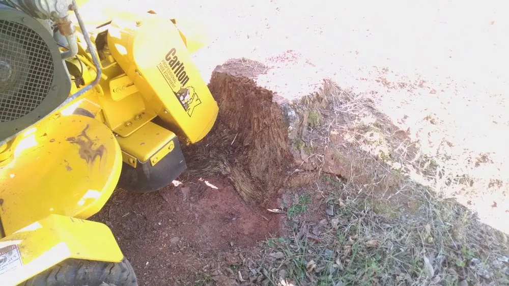 Affordable yard maintenance for outdoor upgrades across Cumming, GA - Chompers Stump Removal