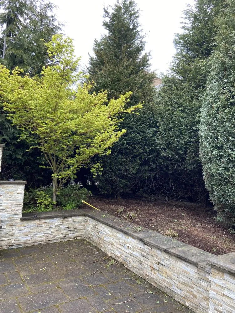 Professional yard maintenance for beautiful yards across Seattle, WA - Chontal Lanscaping