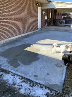 Choose Chani's Landscaping Logo