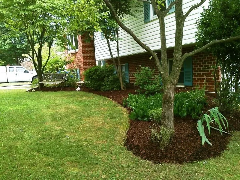 Reliable residential landscaping in Orlando, FL - Choose Save and Lawn Care